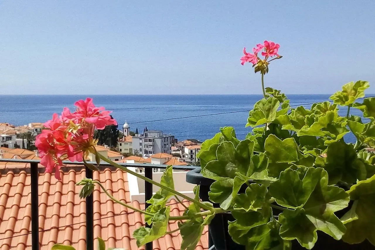 Sea View Terrace Appartement Funchal